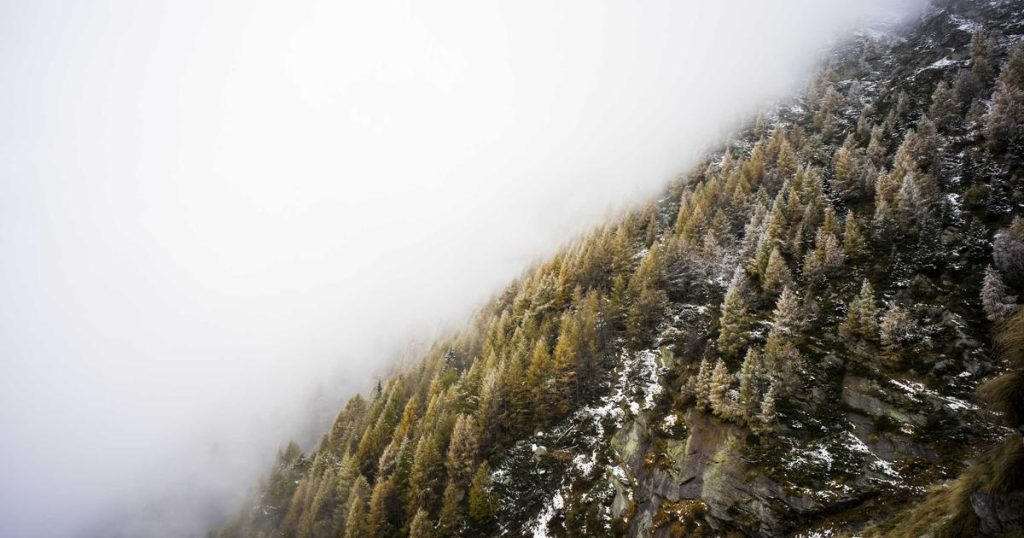 Xây Dựng Custom Post Type Trong WordPress Từ A Đến Z