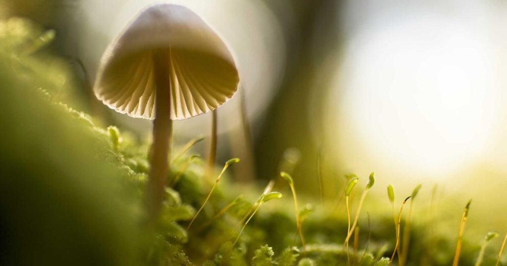 Review VS Code 2024 – Công Cụ Không Thể Thiếu Của Developer