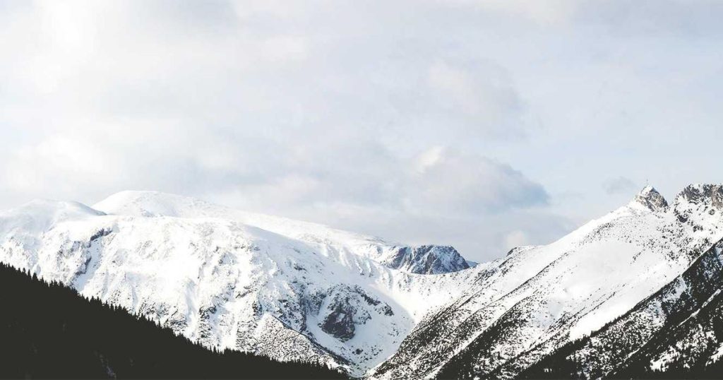 WordPress REST API + Fetch – Xây Dựng Headless WordPress